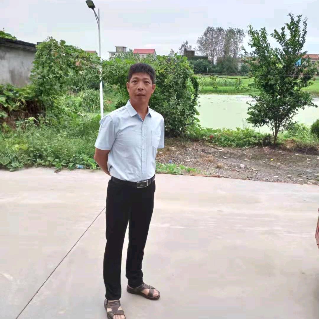 陈新如意