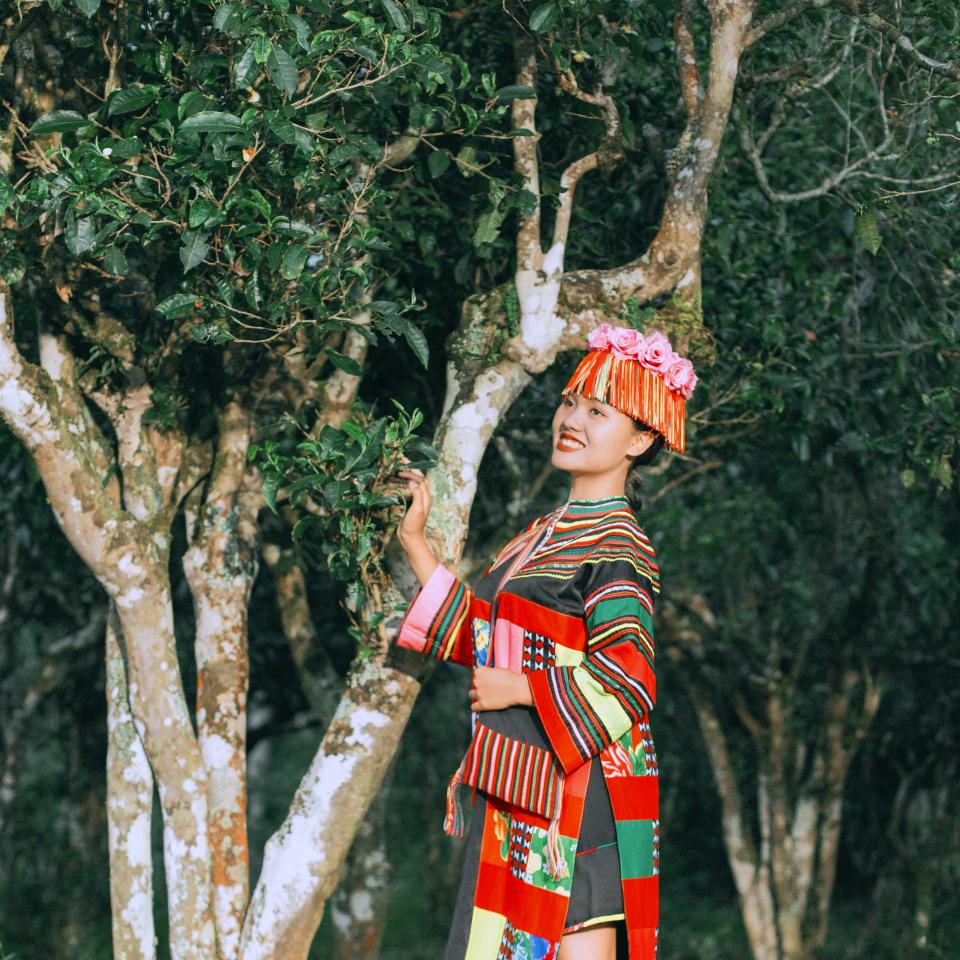 小娜的曰常生活