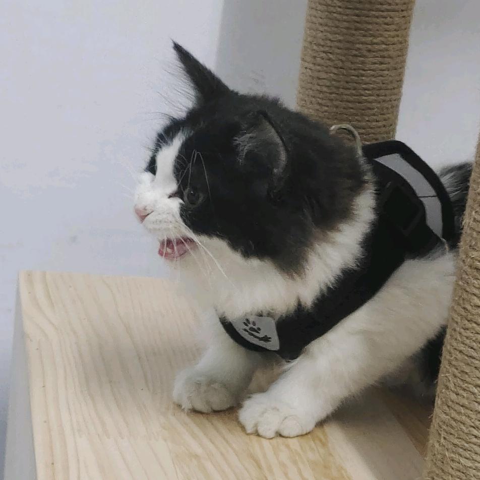 浮生伴闲（等放假版）