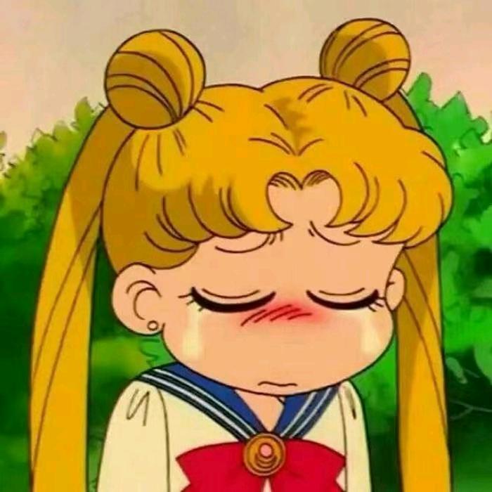 一只慢吞吞躺平的乌龟