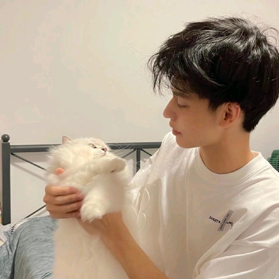 🌈🌈🌈🌈王