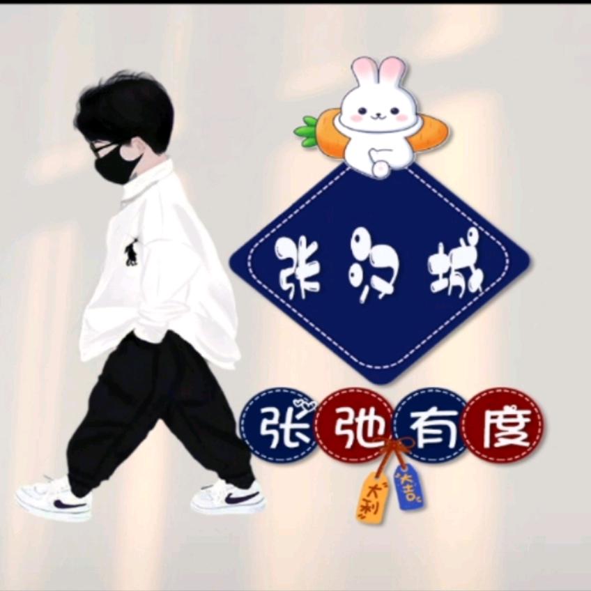张家大公子