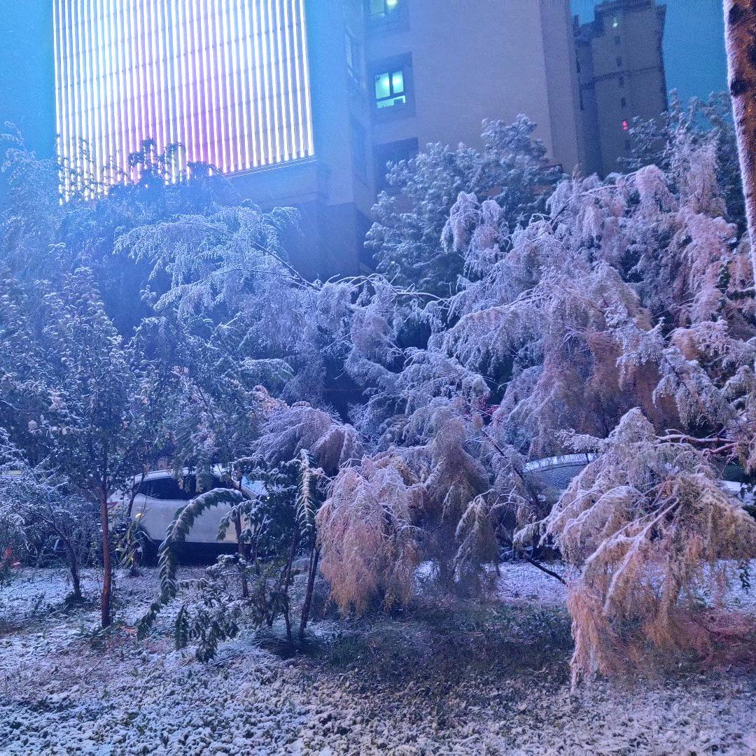 ♥向你ᝰ奔去℅