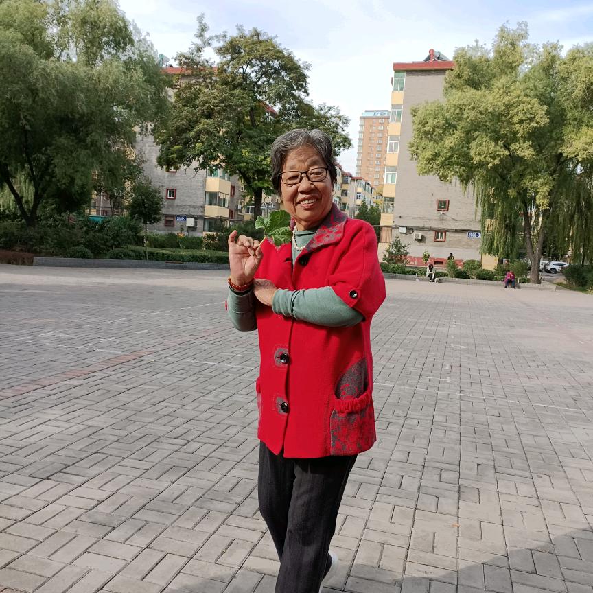 金梅