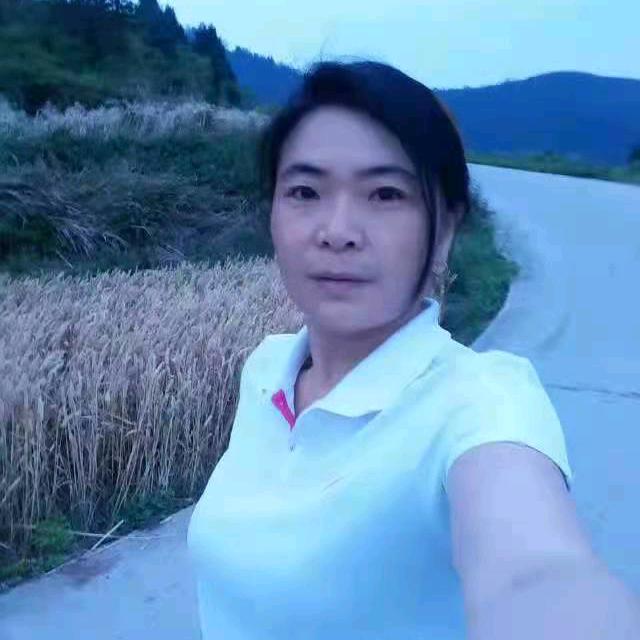 四季干洗