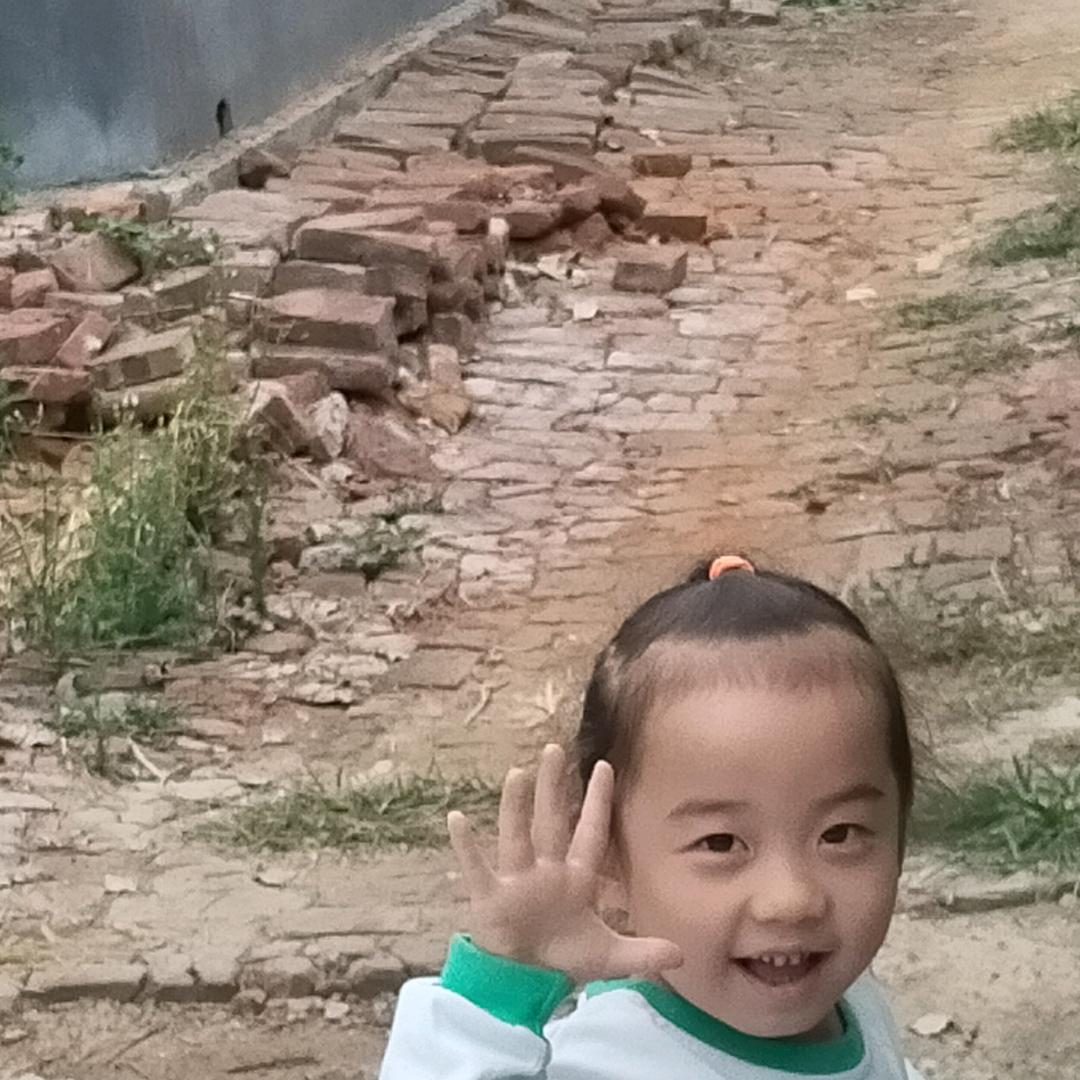 正直司机