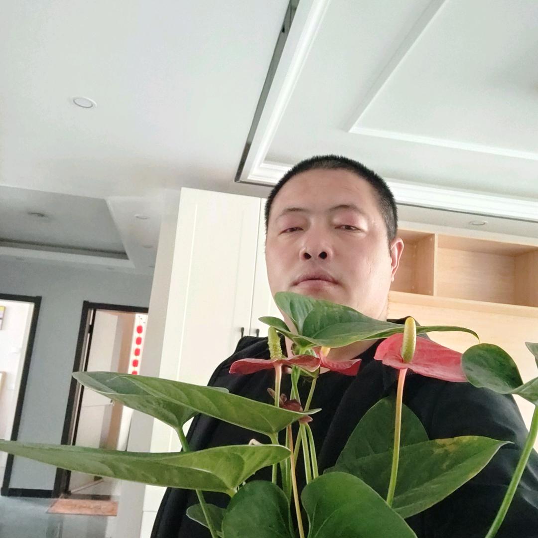 张军伟