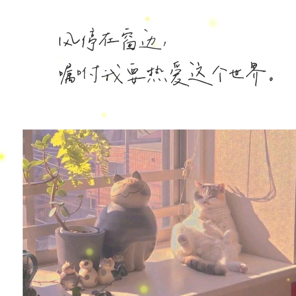 水龙果的果