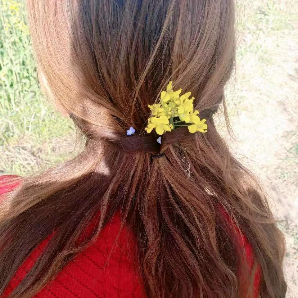 是丽丽老师吖