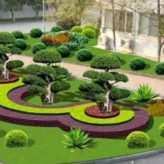 杭州成双园艺场  钟建林