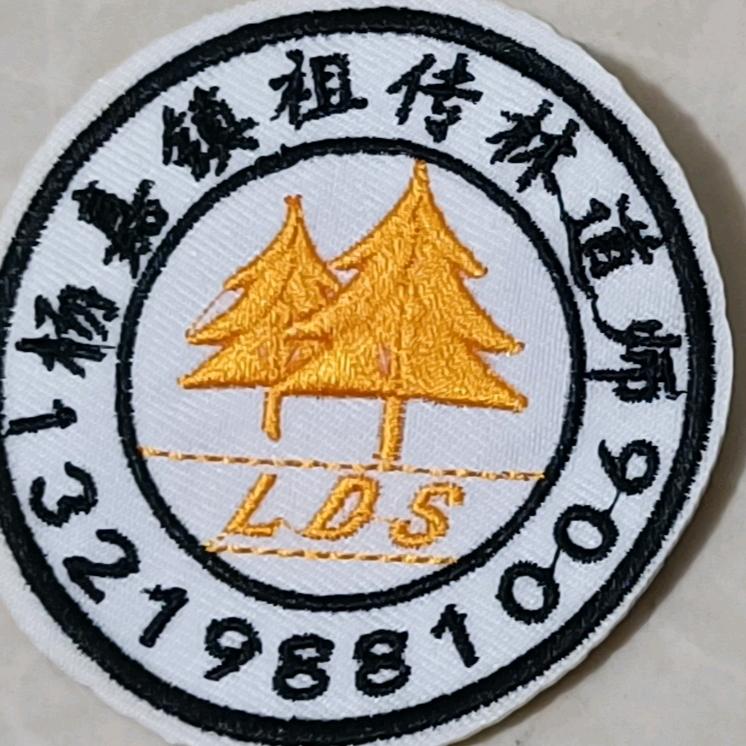 德阳市杨嘉镇百年祖传林道师