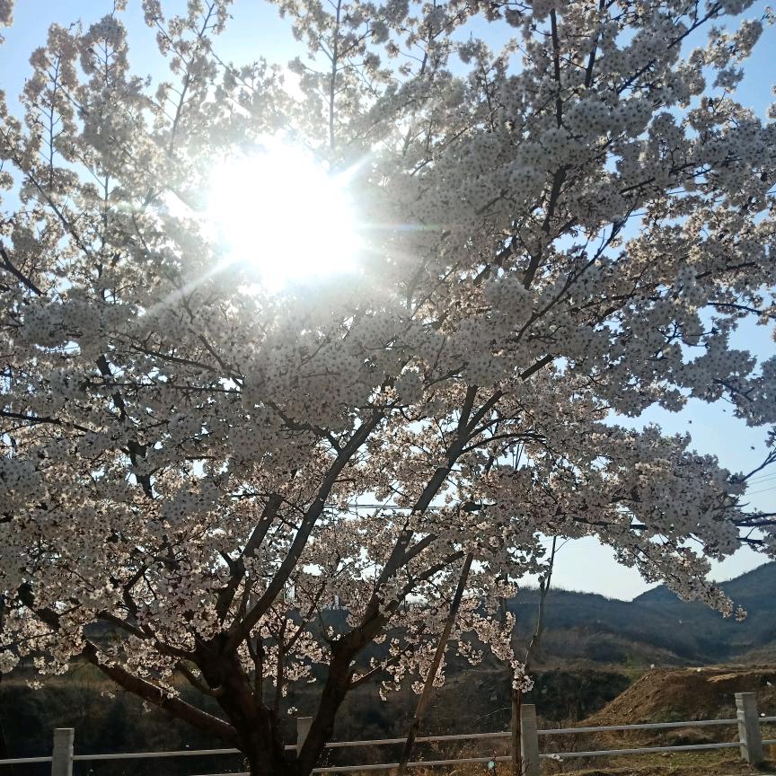 大眼小妹儿！！！