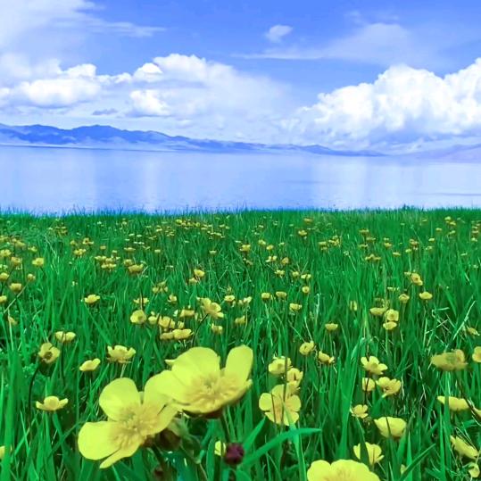 海天之恋