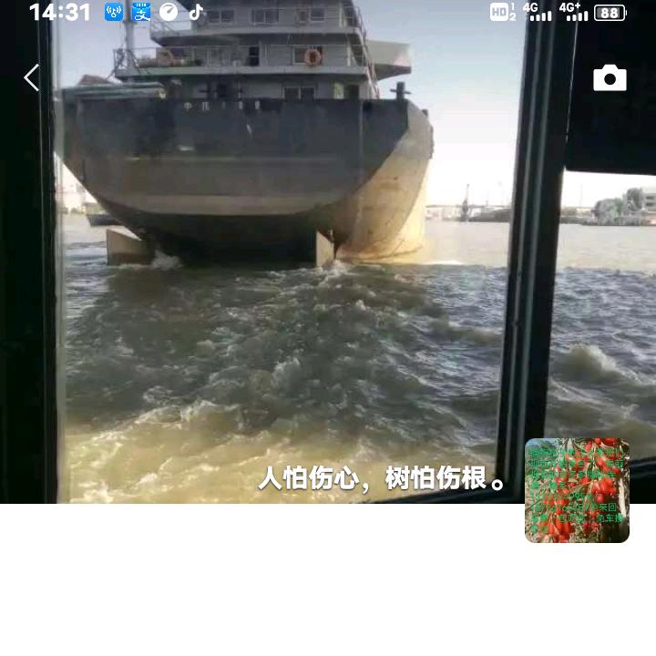 豫中人力资源有限公司