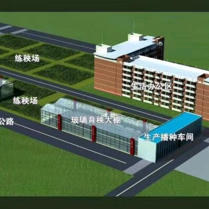 彭鹏--专业水稻育苗