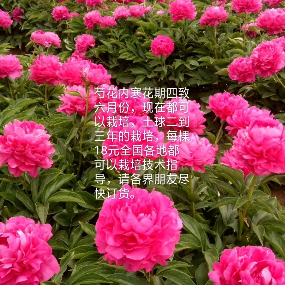 亳州继发药材种苗种植有限公司