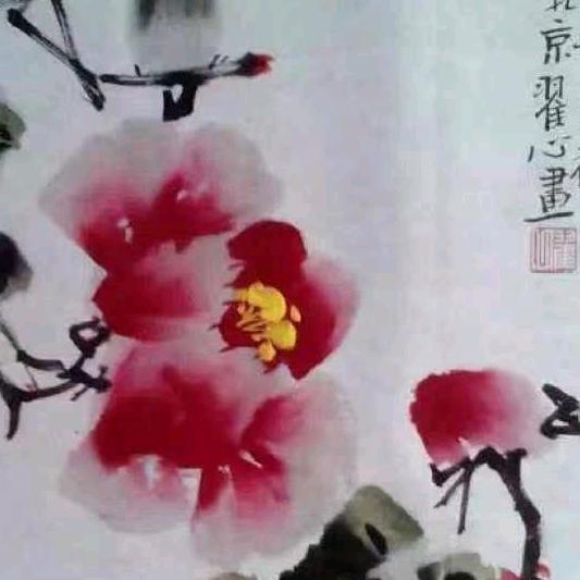 翟心