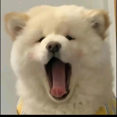 到此一游L
