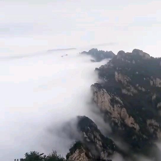 老庙俊波名烟名酒
