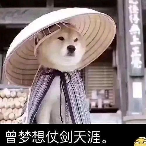 何以解忧😇唯有…