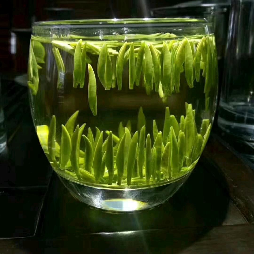 大熊茶业