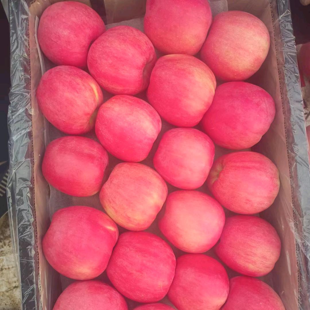 绥中宏哥果蔬代办🍎