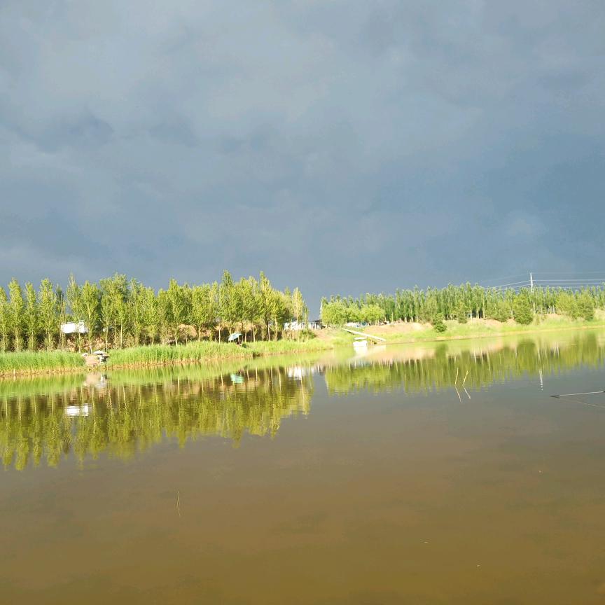 杜小东
