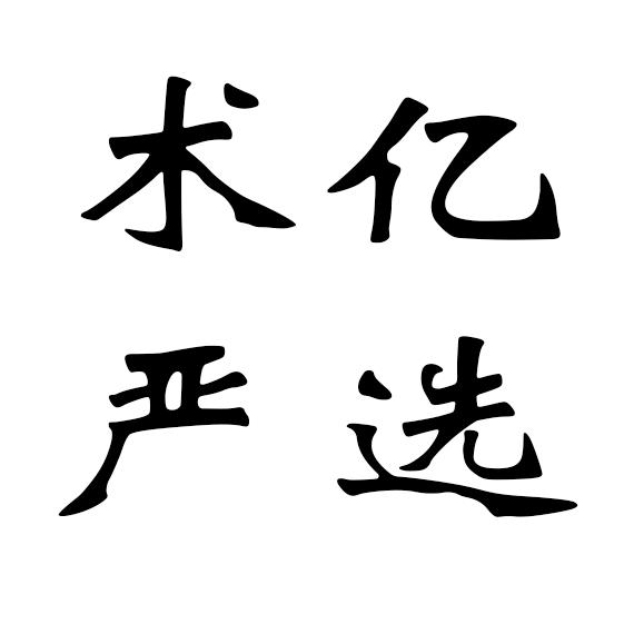 术亿严选