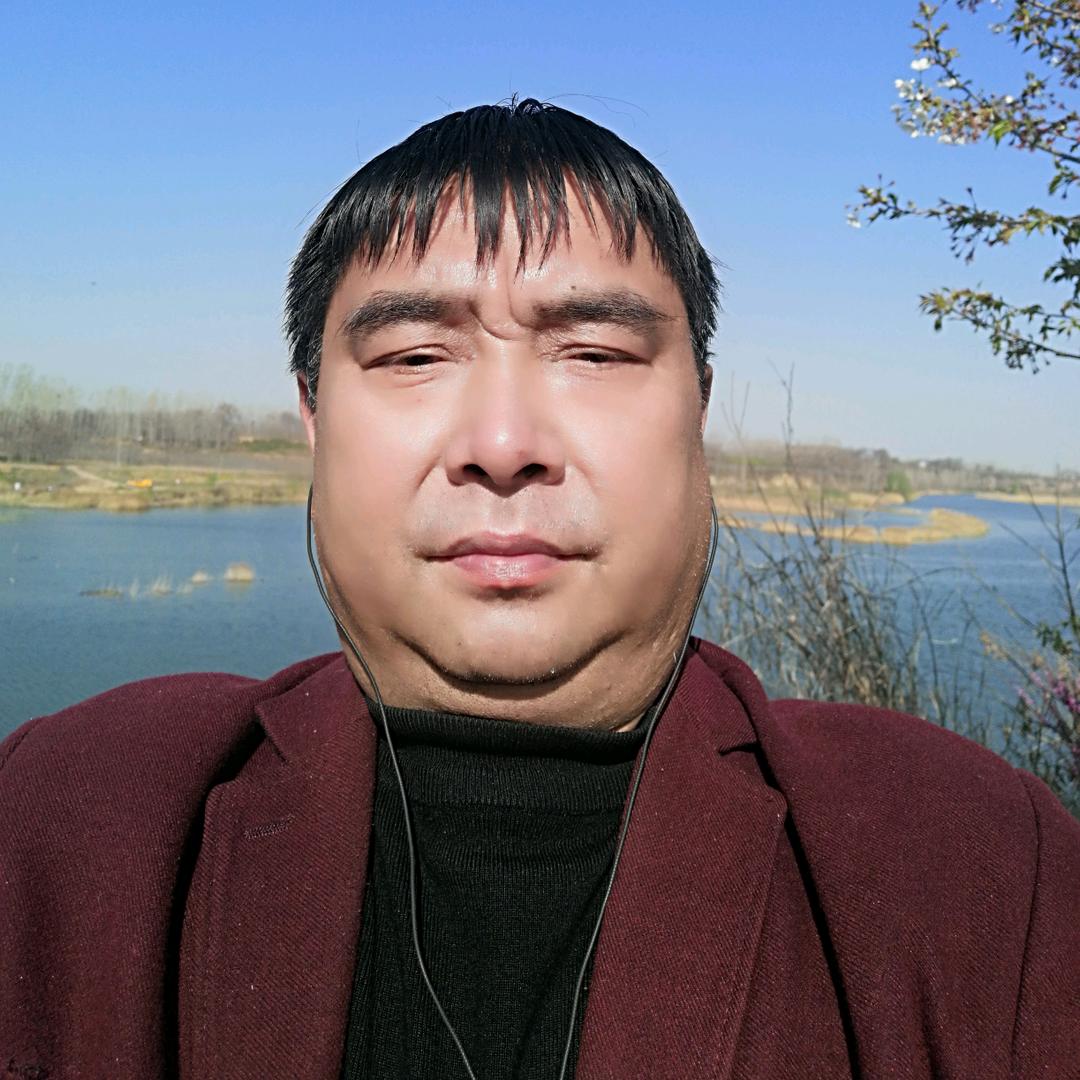 金阳光