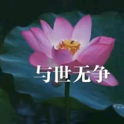 我是一颗糖。