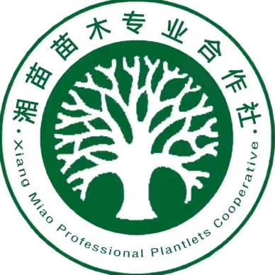 湘苗