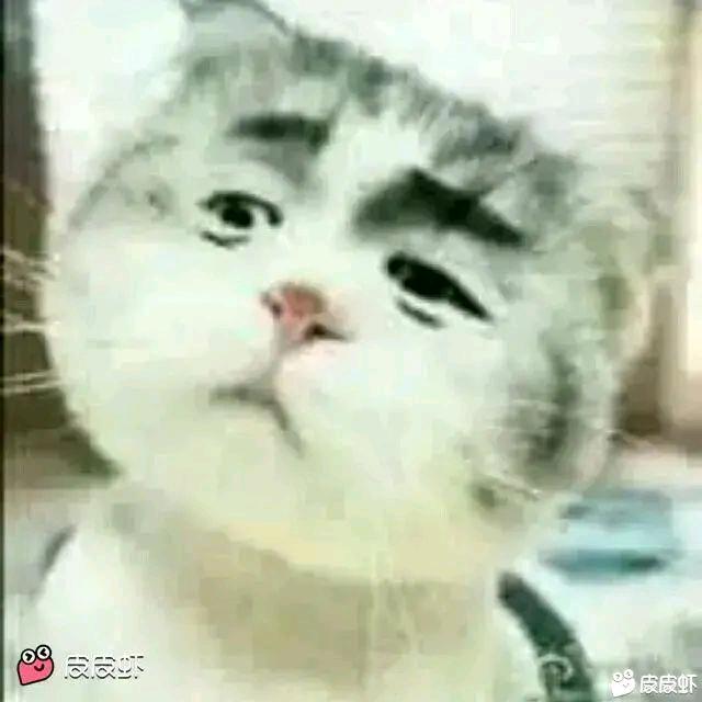 酱拐拐