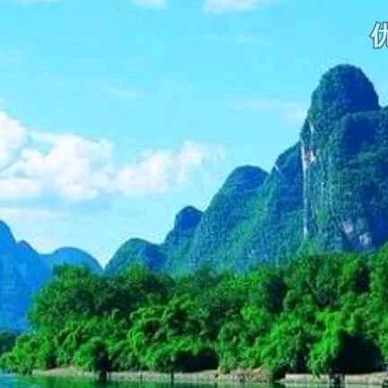 杨洋洋