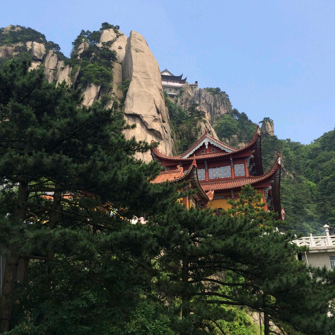 秦岭八月哥