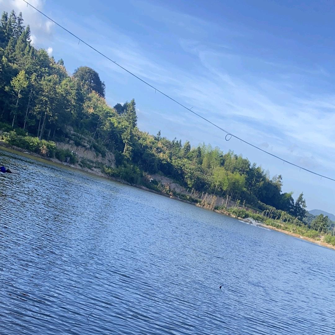 闽大洋（开心俊）