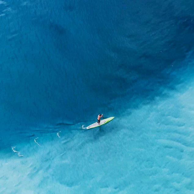 站在鹿🦌的一边