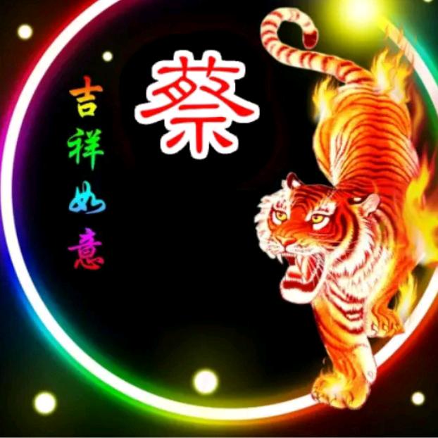 在春天里