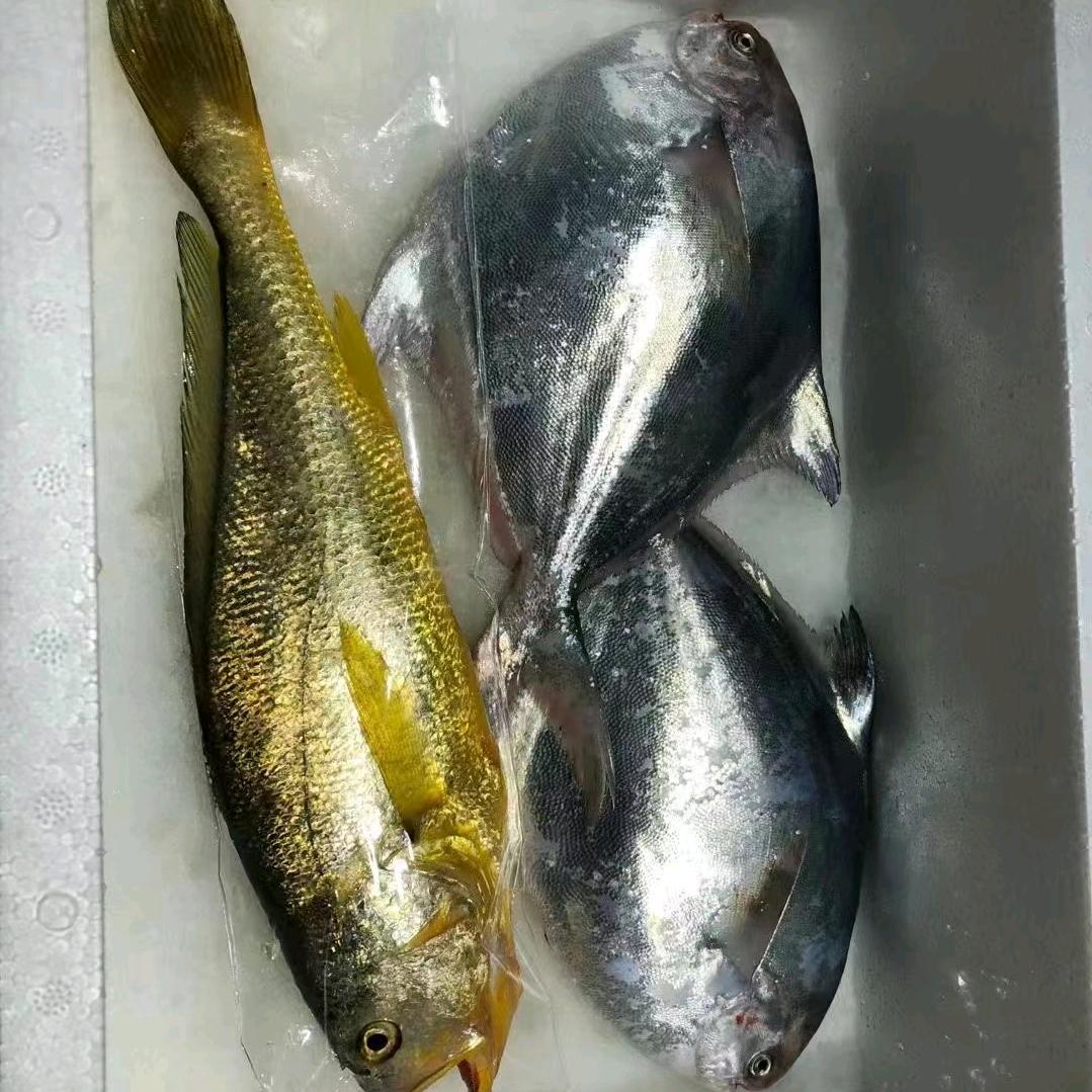 精品海鲜