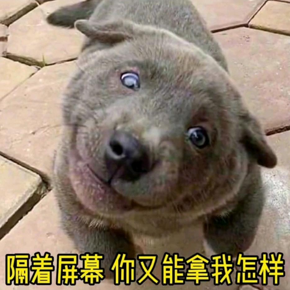 嗨！好久不见