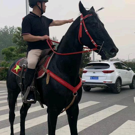 鄢陵县尚野生态养殖场（个体工商户）