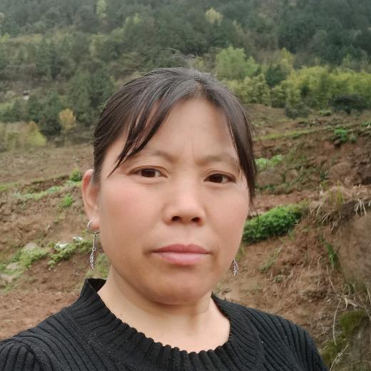 芬芬姐（每月开播两次不定时）