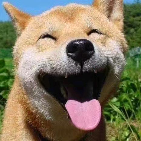 破晓