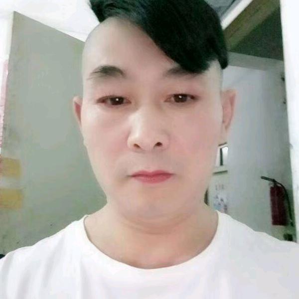 猛龙过江