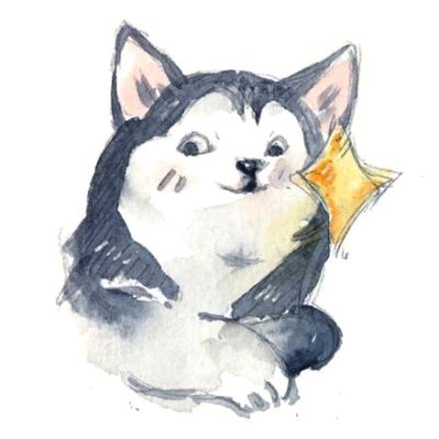 甜甜不甜屋