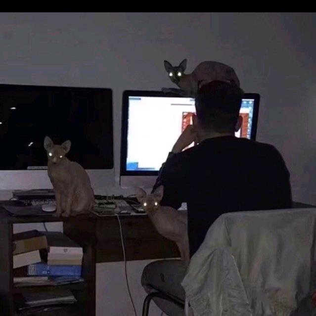 北七