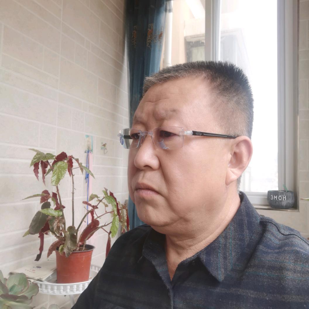 仰望绿色