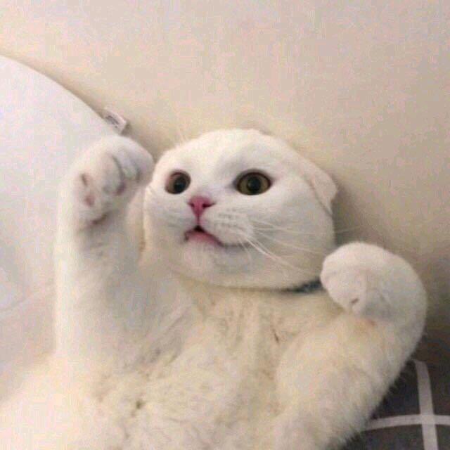 老干妈