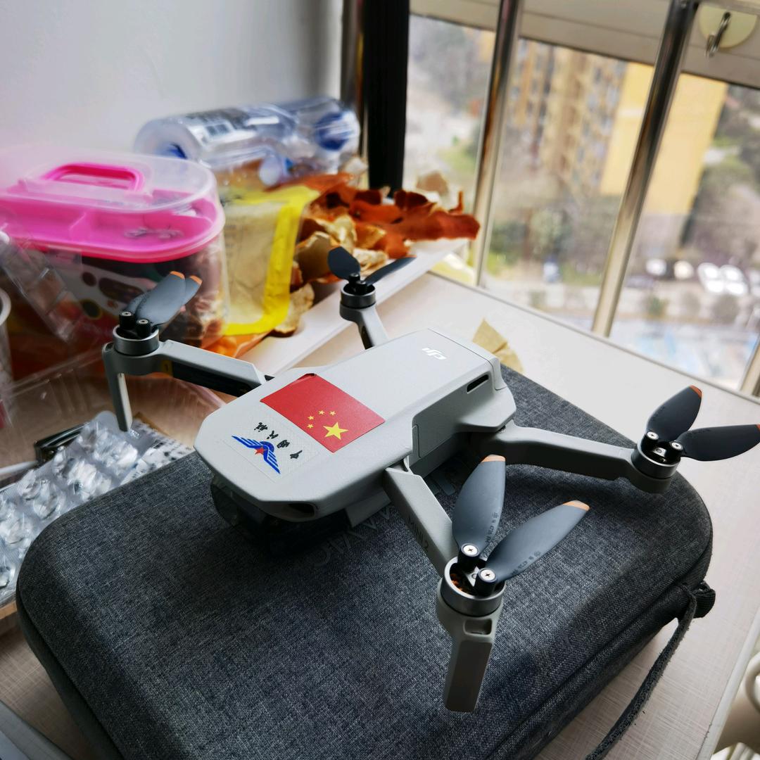 不会飞的憨豆📷