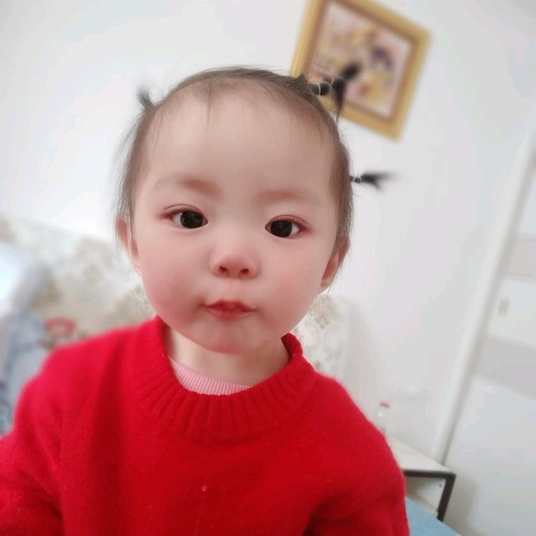 我心飞翔
