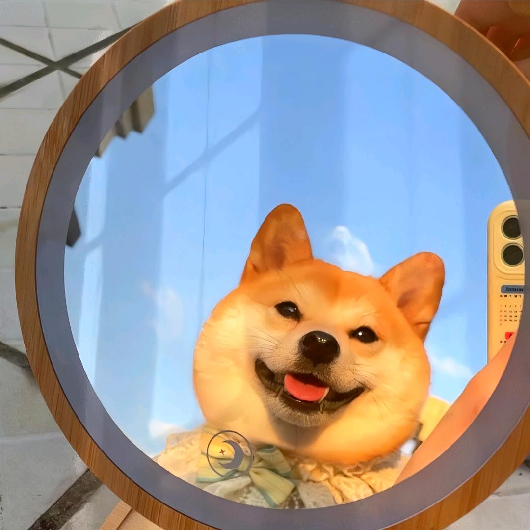 陈小重
